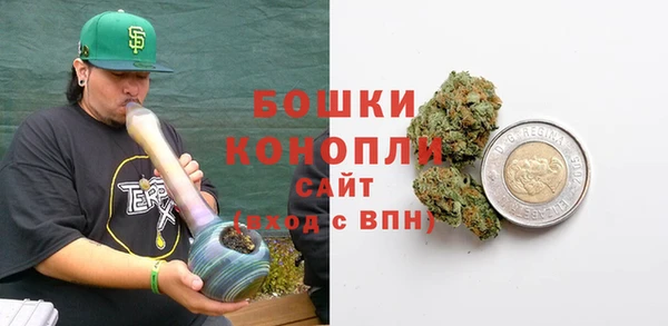 ALPHA PVP Няндома