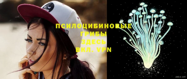 ALPHA PVP Няндома