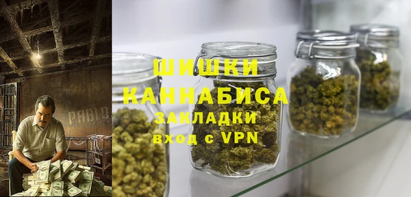 ALPHA PVP Няндома