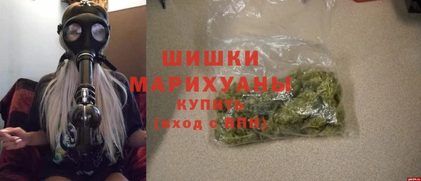 PSILOCYBIN Елабуга