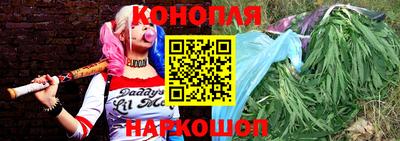 прущие грибы Аргун