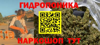 прущие грибы Аргун