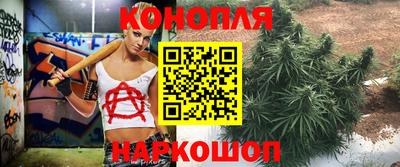 прущие грибы Аргун