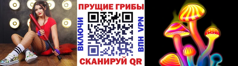 наркота  Павловский Посад  Галлюциногенные грибы Psilocybine cubensis 