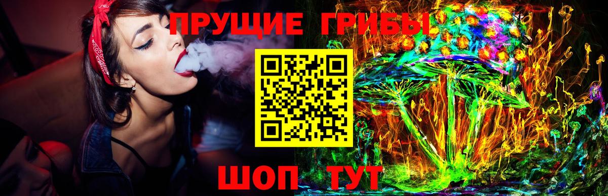 Псилоцибиновые грибы ЛСД  Псилоцибиновые грибы Psilocybine cubensis  Павловский Посад 