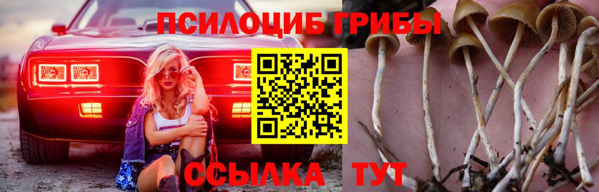 наркота  Псилоцибиновые грибы MAGIC MUSHROOMS  Вход с VPN  Павловский Посад  Псилоцибиновые грибы MAGIC MUSHROOMS 